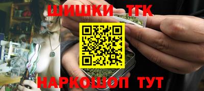 индика Рузаевка