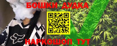 индика Рузаевка