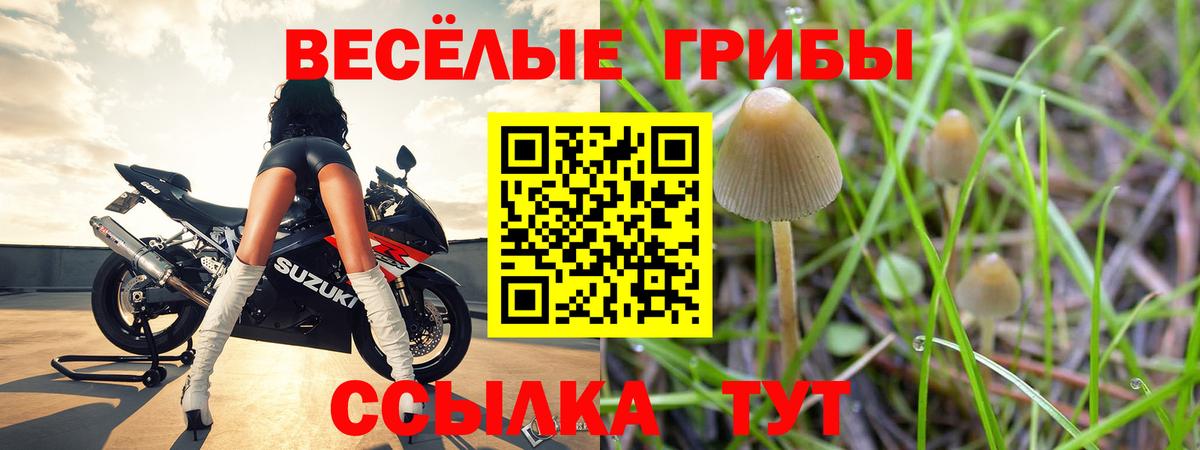 Галлюциногенные грибы MAGIC MUSHROOMS  Вход с VPN  хочу наркоту  Павлово 